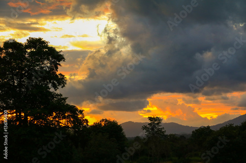 sky before sunset  colorful and silhouette woodland  twilight 