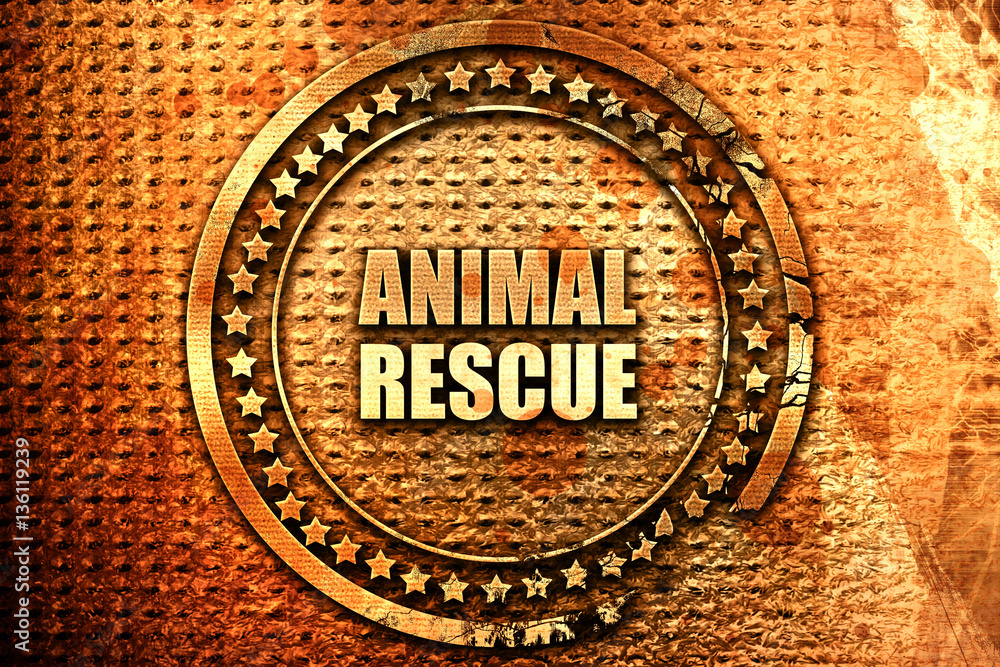 animal rescue, 3D rendering, text on metal