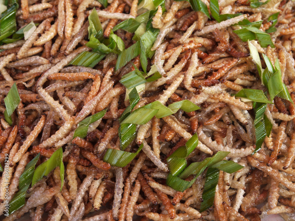 Fried bamboo worm Fried bamboo worm