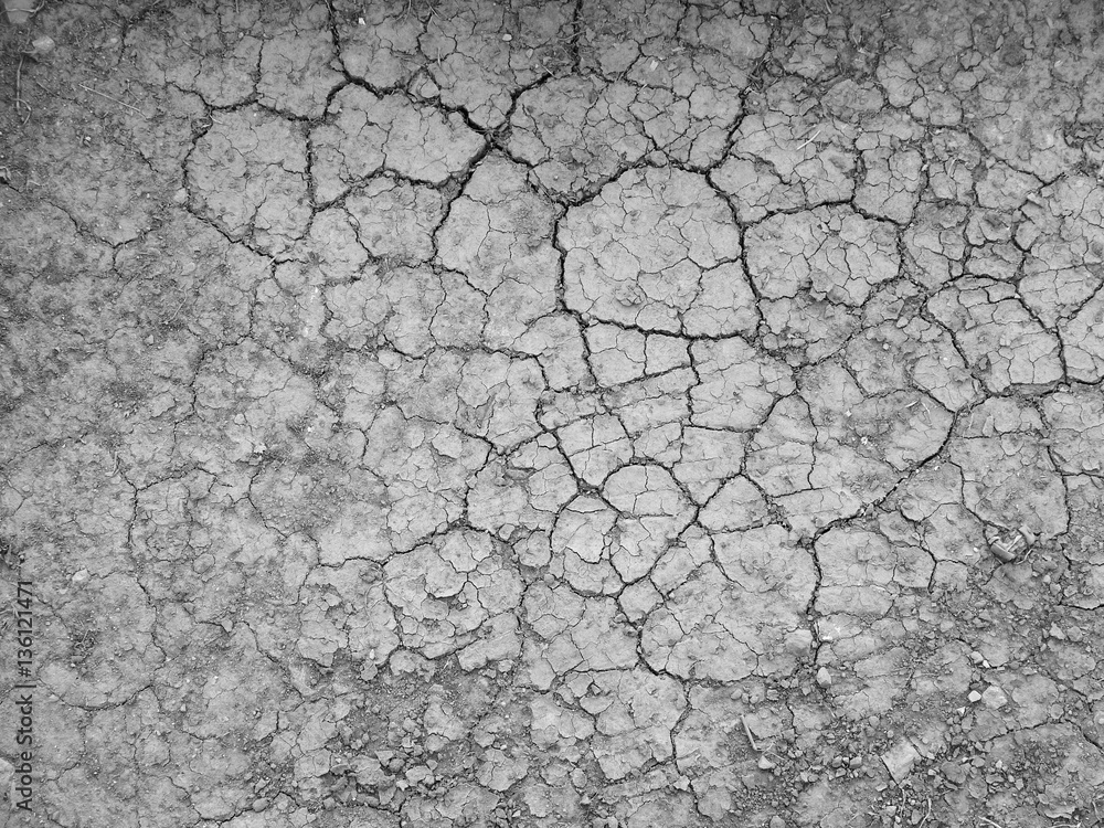 cracks in the ground cracks in the ground