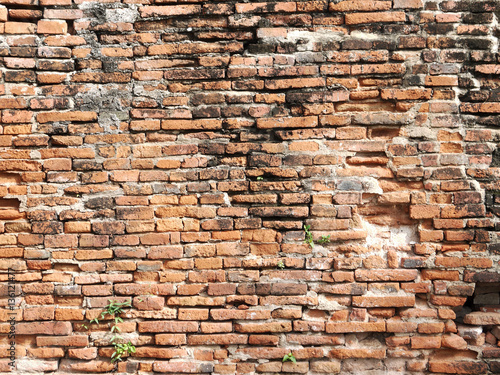 Old brick wall in a background image