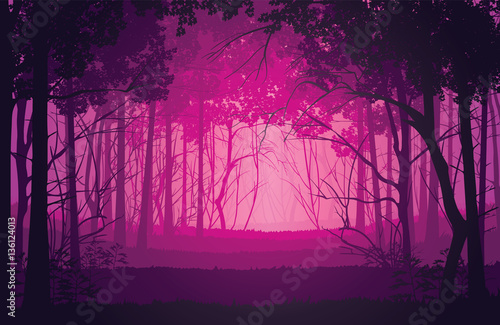 Background of landscape with deep forest. 