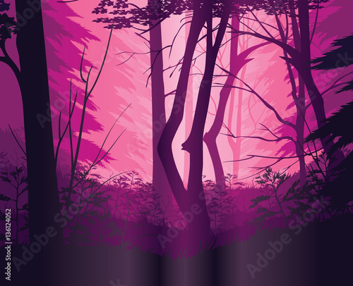 Background of landscape with deep forest.