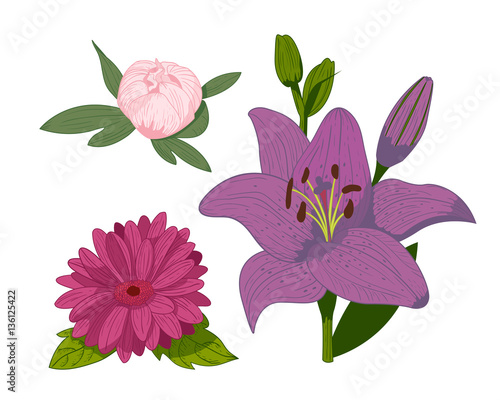 Vintage flowers vector illustration.