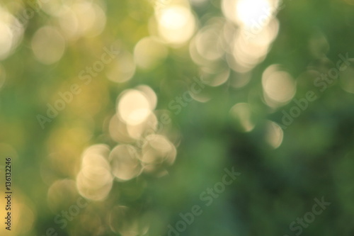 green blurred background