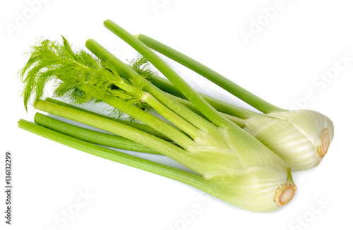 Fennel isolated on the white background