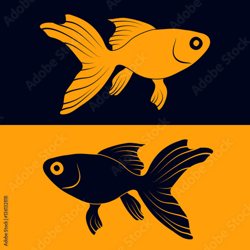Goldfish - vector illustration 
