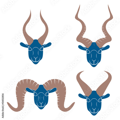 Artiodactyls horned heads - vector illustration 