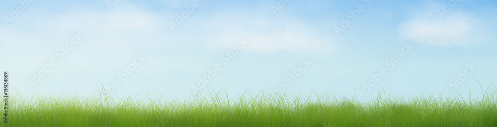 Fototapeta premium Open Grass Field Half Banner