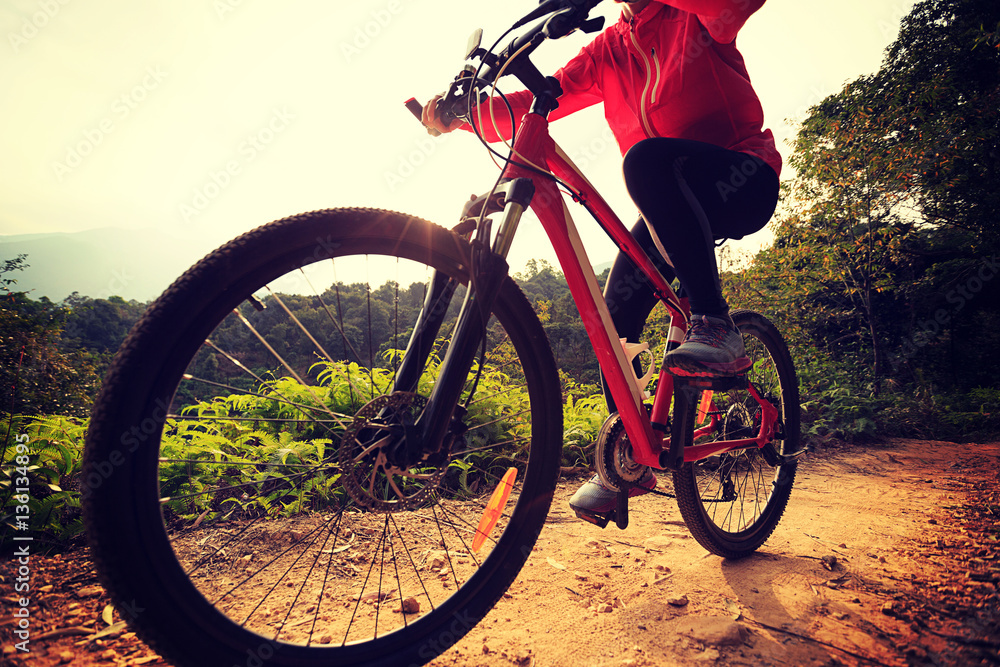 one young woman cyclist riding mountain bike on forest trail one young woman cyclist riding mountain bike on forest trail
