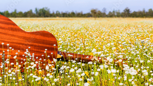 The guitar with meadow background