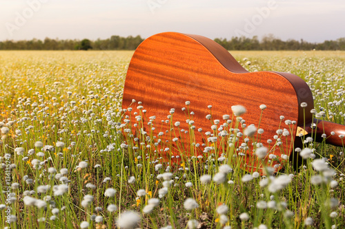 The guitar with meadow background