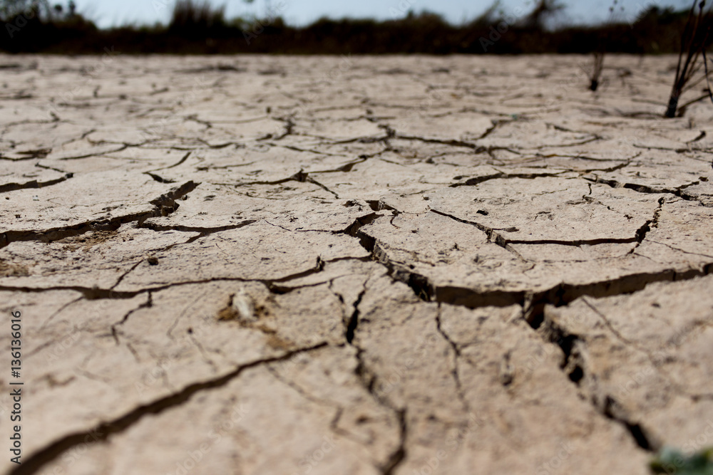 Fototapeta premium barren land