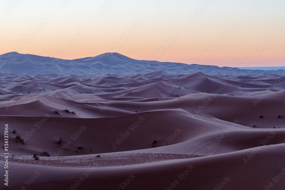 Naklejka premium Sahara Desert, Morocco