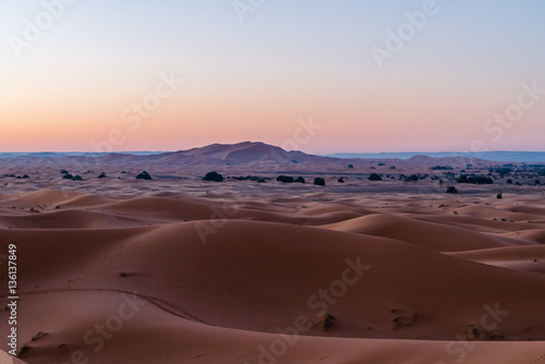 Sahara Desert  Morocco  