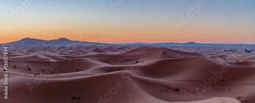 Sahara Desert  Morocco  