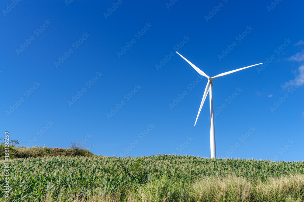 PILILLA WIND FARM, Rizal , Philippines
PILILLA WIND FARM, Rizal , Philippines