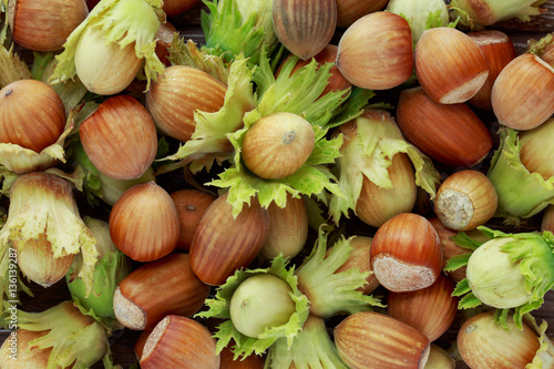 handful of hazelnuts photo