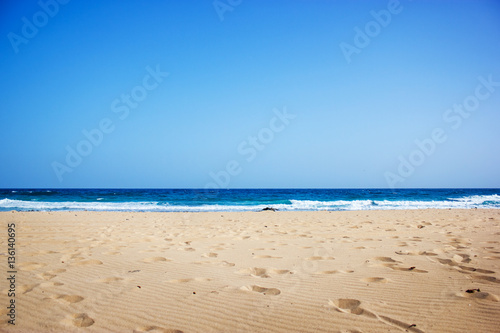 fuerteventura. canary islands