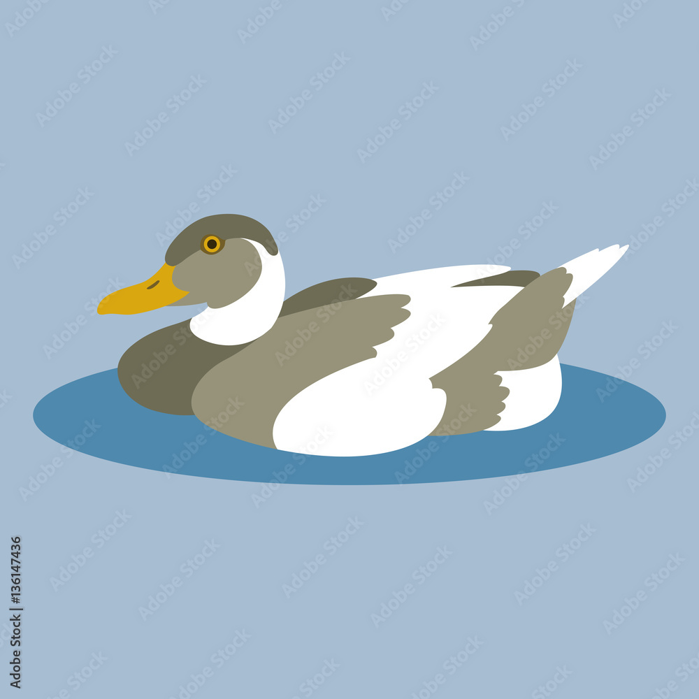 Obraz premium duck vector illustration style Flat