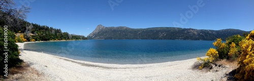 Beautiful panorama of a quiet beach and flowering wattles near Bariloche Argentina. 