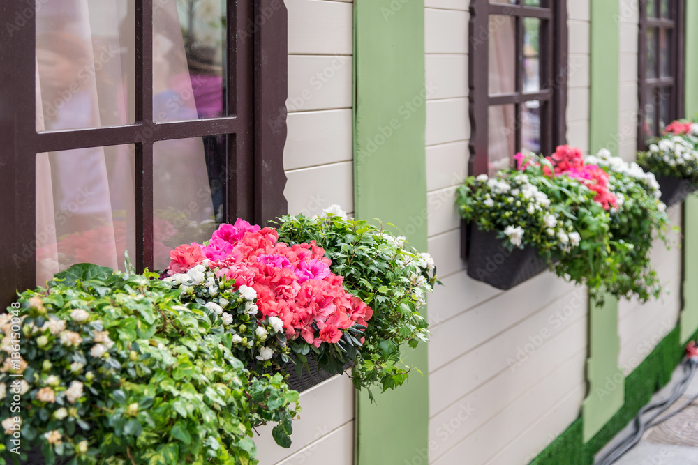Fototapeta premium wood house decorated with colorful flowers in pot