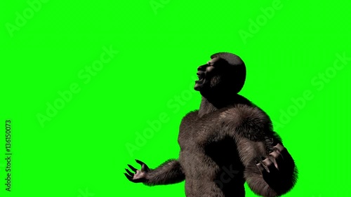 Werewolf Transformation (Green Screen)