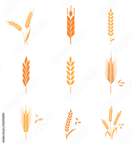 Cereals icon set with wheat.