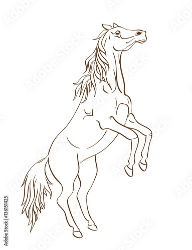 Rearing up horse vector in line art style