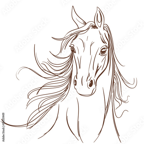Horse head made in line art style. Equestrian school or club symbol