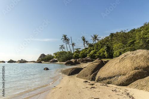 Palm trees and rocks on a beach  Koh Phangan  Thailand