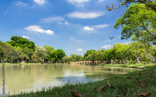 Chatuchak Park photo