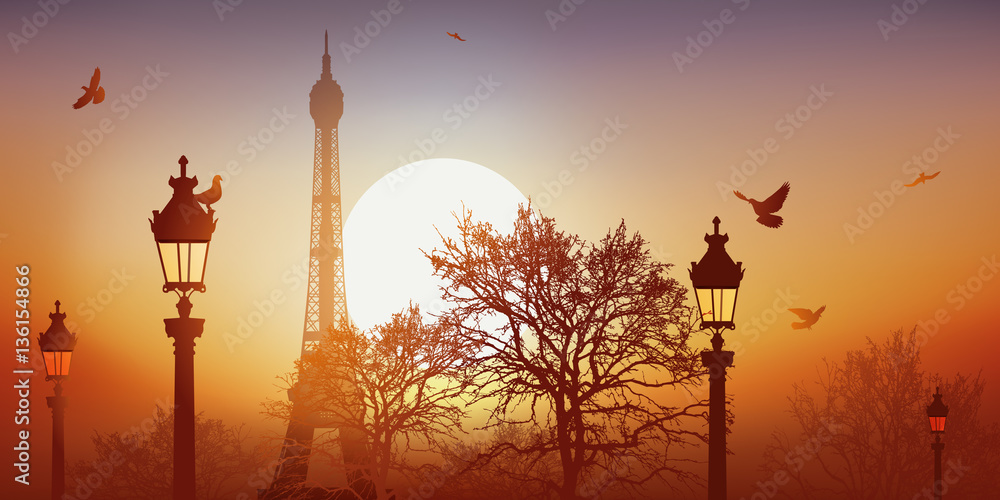 Tour Eiffel - Champ de Mars - Coucher de soleil - Pigeon Stock Vector |  Adobe Stock