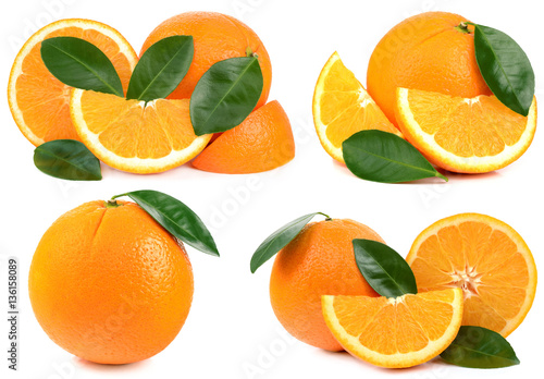 Oranges on white background