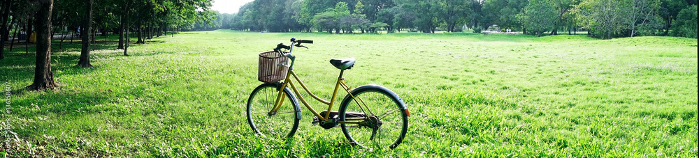 Panorama View Yellow Bicycle On Green Grass Nature Outdoor Landscape Park Panorama View Yellow Bicycle On Green Grass Nature Outdoor Landscape Park