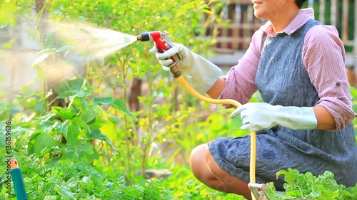 asian woman watering in home garden