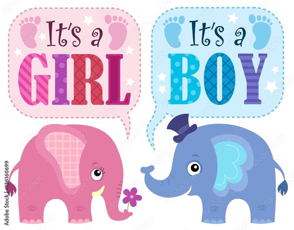 Is it a girl or boy theme 1 Is it a girl or boy theme 1