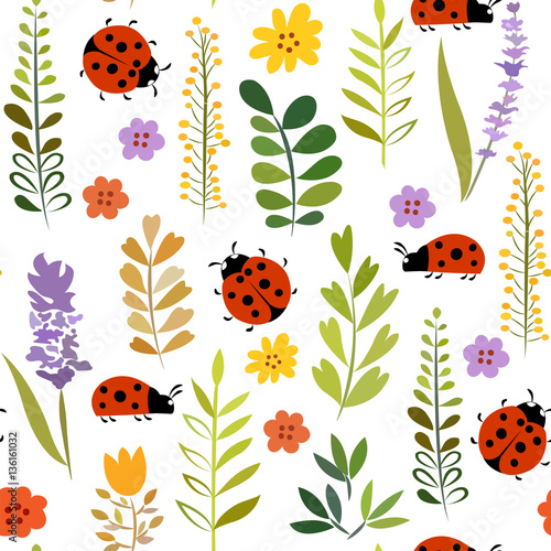 ladybird among plants