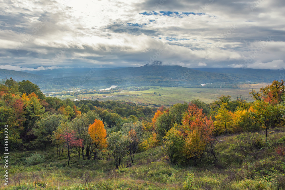 Scenic landscape with mountain forest