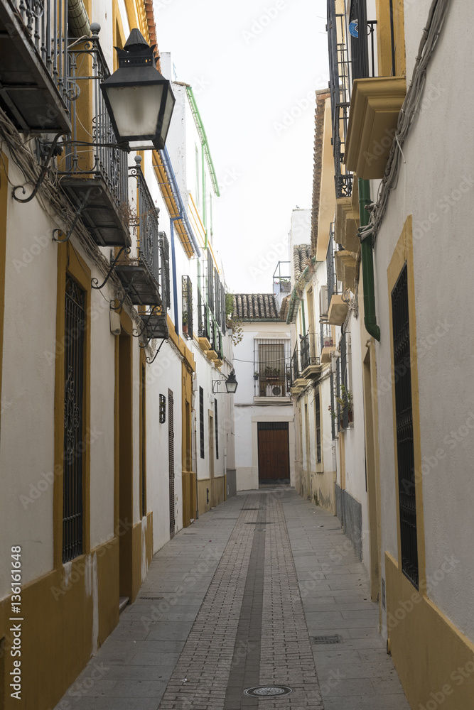 Cordoba (Andalucia, Spain): street