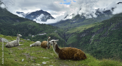 Hiking Norway