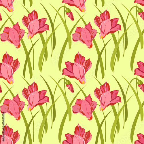 pattern with exotic potted cyclamen flower © Tetiana