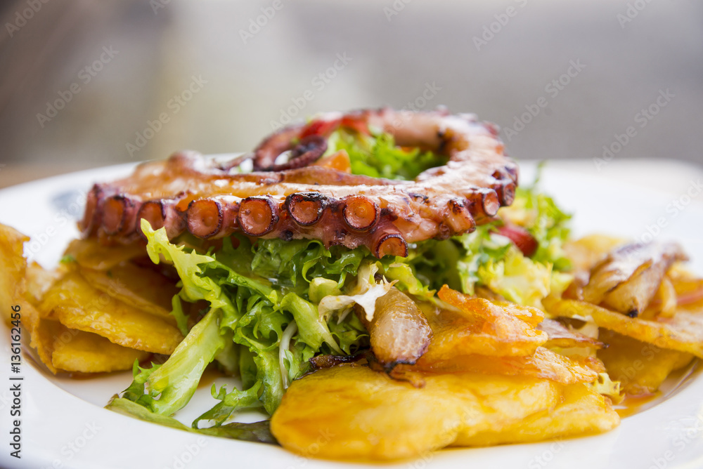 Colorful and tasty octopus salad