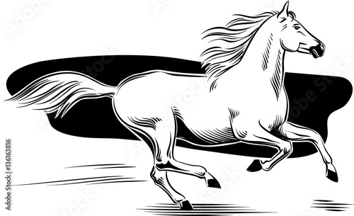 white horse galloping free in the wind.