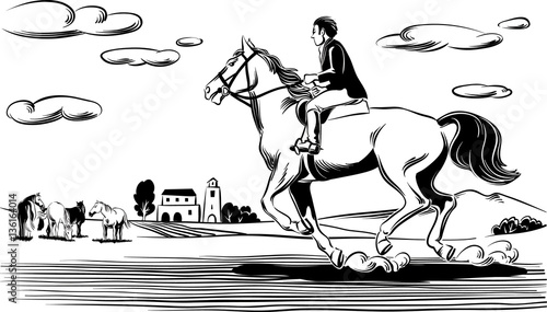 Rider and horse running in the wind. On the bottom of an agricultural landscape.