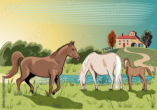 horse; mare; foal; stallion; breeding; mammal; pasture; graze; grass; farm; lake; water; run