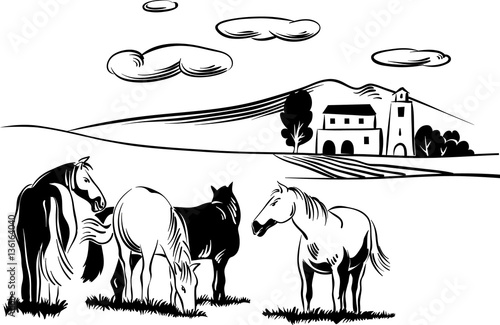 Horses peacefully grazing in a meadow.