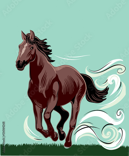 Horse running free in the wind.