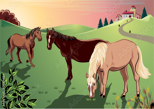 Horses peacefully grazing in a meadow.