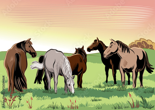 Wild horses peacefully grazing.